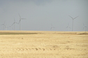 #4: Wind turbines view to the south from the confluence point.