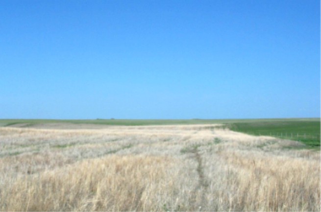 Looking East from the confluence