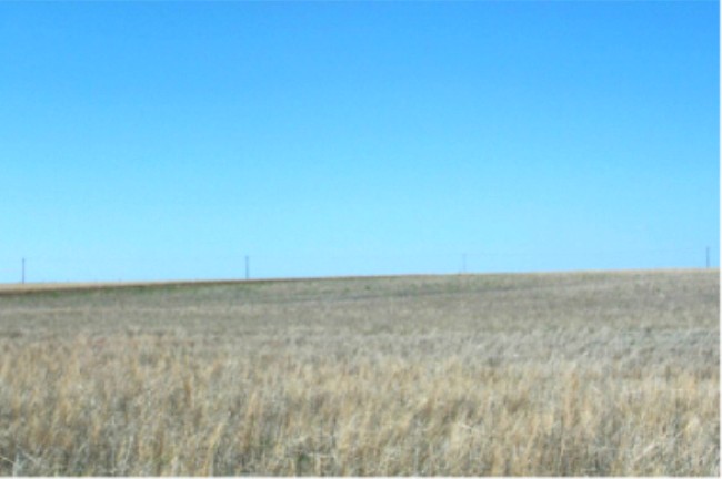 Looking North for the confluence