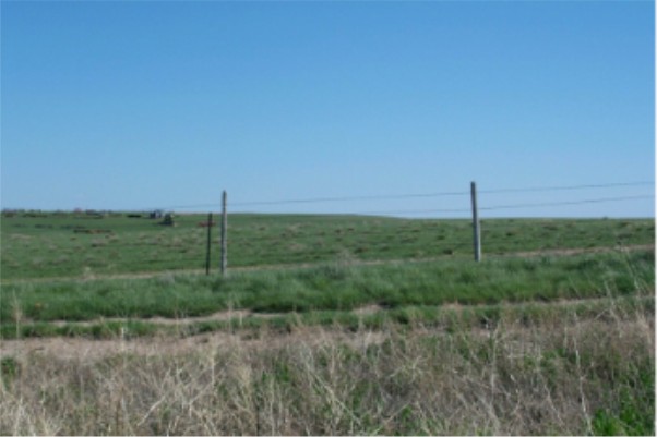 Looking South from the Confluence