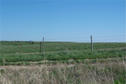 #5: Looking South from the Confluence