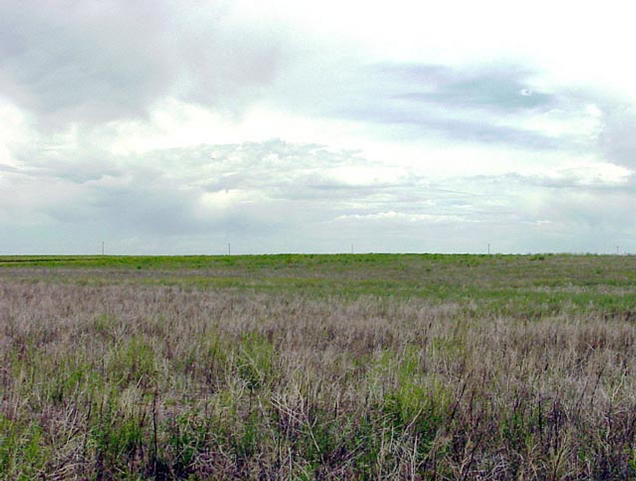 View looking north from the confluence