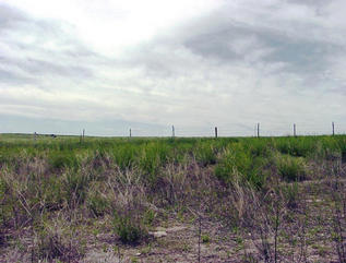 #1: View looking south from the confluence