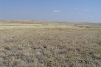 #1: The confluence of 41 North 104 West lies in the foreground of this photograph, looking east.