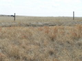 #4: View to the south from the confluence point.