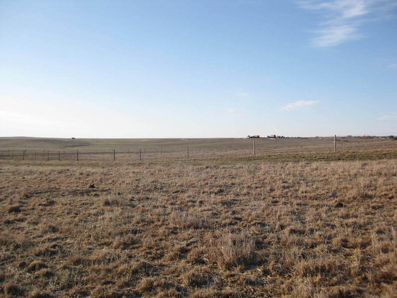 Looking southeast at the site