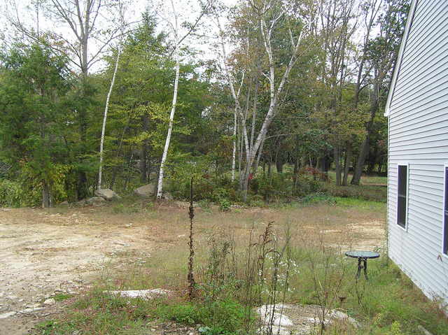 View to the north from the confluence.