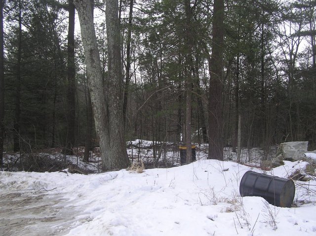 View South from confluence