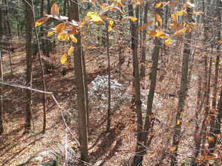 #1: Confluence as seen from the rocks looking south