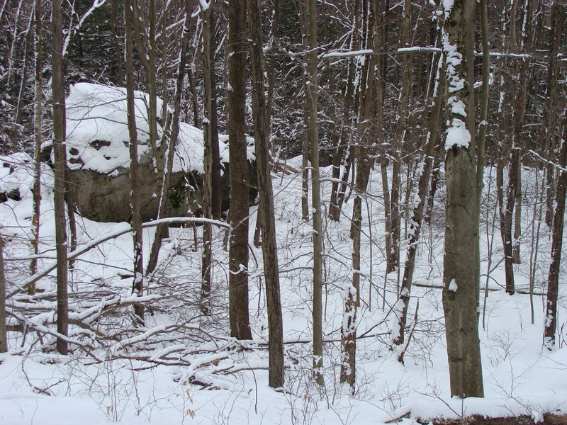 Approaching from the west, the cp is found to the right of this large rock.