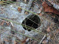 #5: Pot Hole