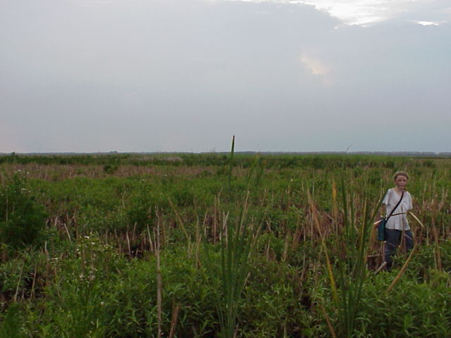 Looking East from GZ.