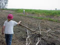 #9: Crossing the quicksand barrier.