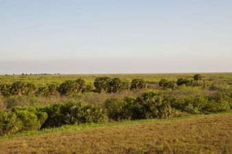 #1: The confluence point is about 2 miles in this direction