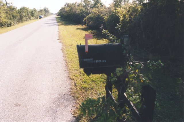 Looking north along Pinellas Avenue from the confluence mailbox.