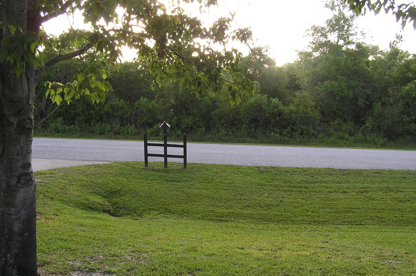 View to the east from the confluence point.