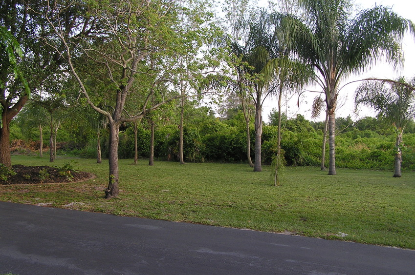 View to the northwest from the confluence.