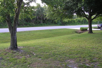 #1: Site of 27 North 82 West, in the foreground, looking southeast.