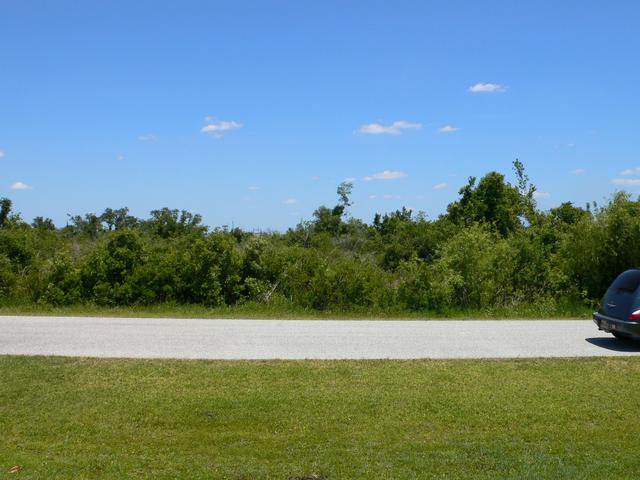 Looking East from the CP shadow of the car on the left