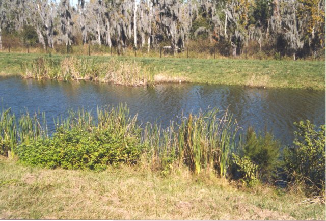 A view of the confluence from over the site.