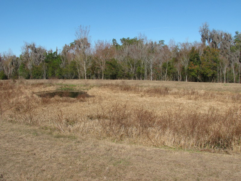 North towards the confluence