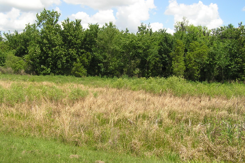 The confluence of 28 North 82 West lies in the foreground in this view to the north.