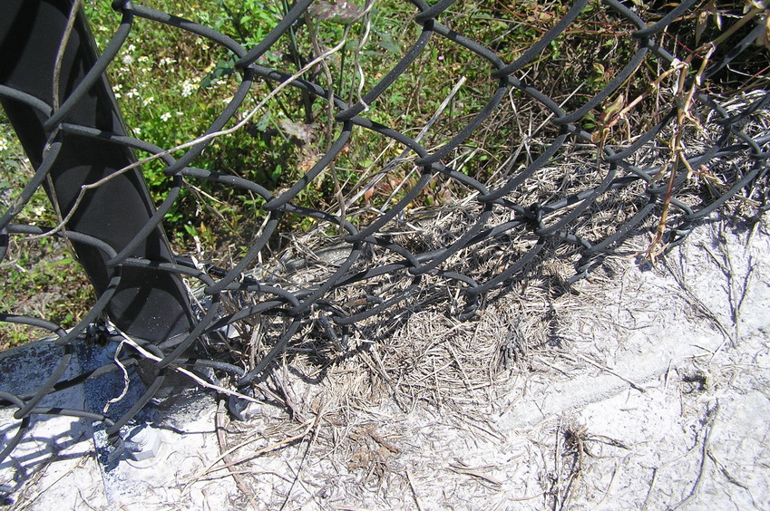 Pavement, grass, and fence:  Ground cover at the confluence point. 