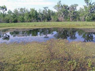 #1: The point is in the middle of this pond