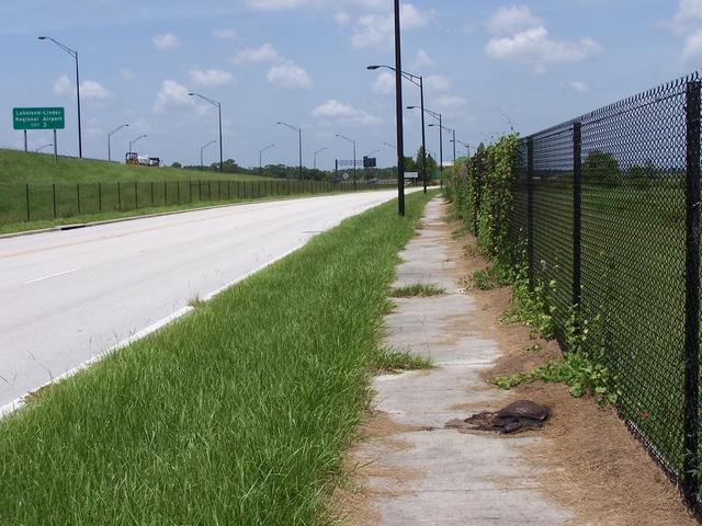 The view West.  Note the dead turtle.