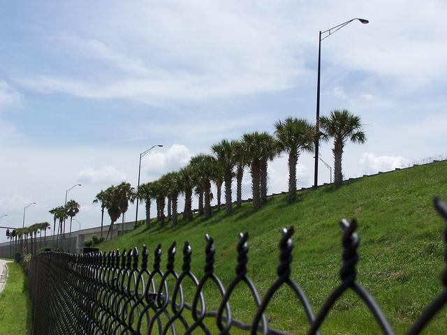 Looking SE from near the confluence.