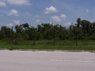 #1: Overview.  The confluence is about 32m on the  other side of the fence.