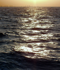 #1: Clearwater Beach from the confluence.