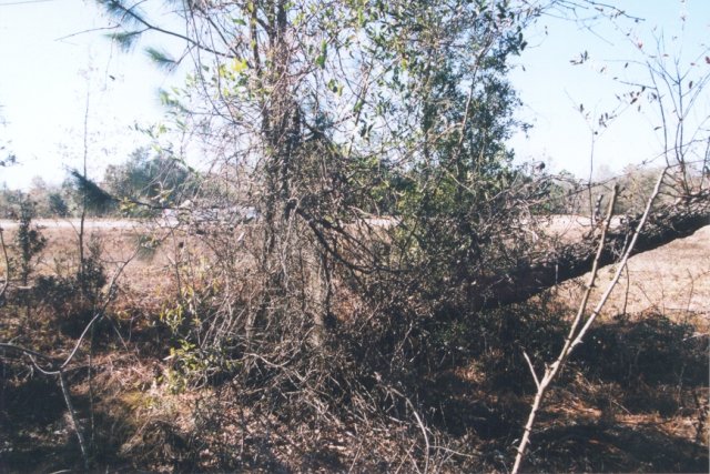 Standing at the confluence, looking west back towards the highway.