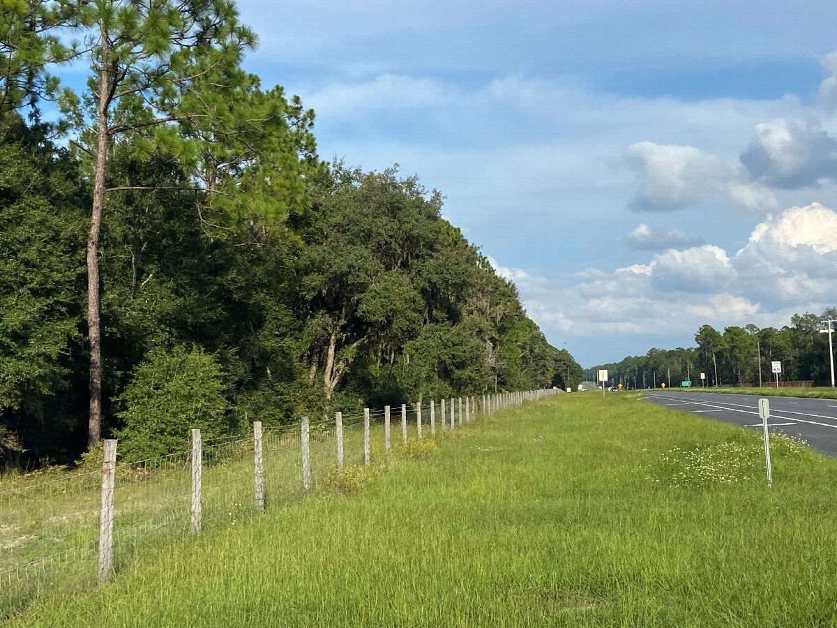 View to the west from the gate. 