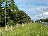 #3: View to the west from the gate. 