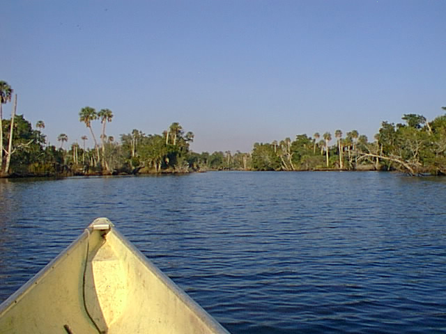 Econfina River View heading back onshore