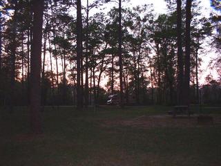 #1: Standing at the confluence, looking in an undetermined cardinal direction.