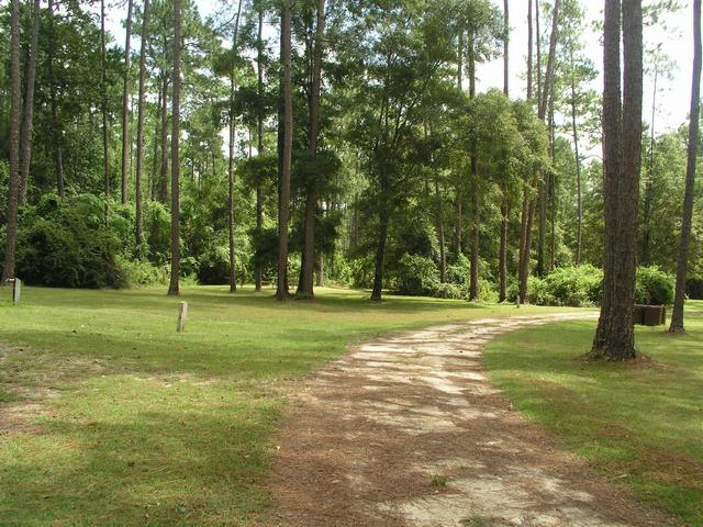 30N 85W sits at Campsite #14 in Wright Lake Recreation Area