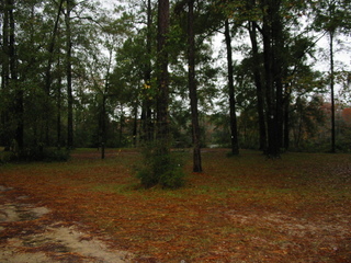 #1: Looking North - Wright Lake is barely visible