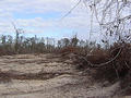 #2: View from the confluence approximately north