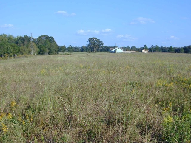 Target looking east