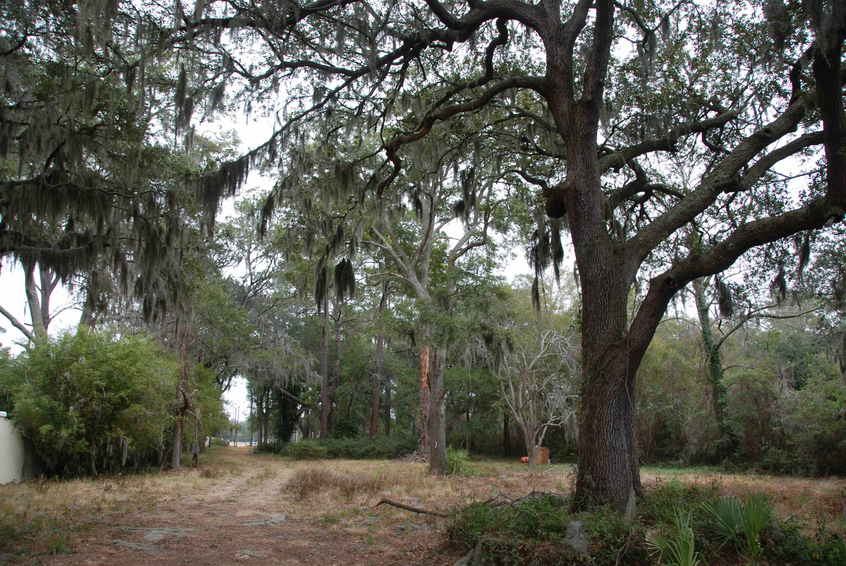 The vacant lot leading to the water front