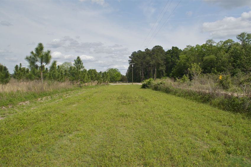 View East (towards a farm house)