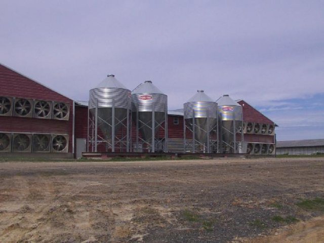 Chicken house (confluence point is 400 yards beyond)