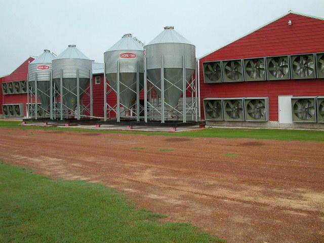 Looking northwest from Rd. 118 to the chicken house