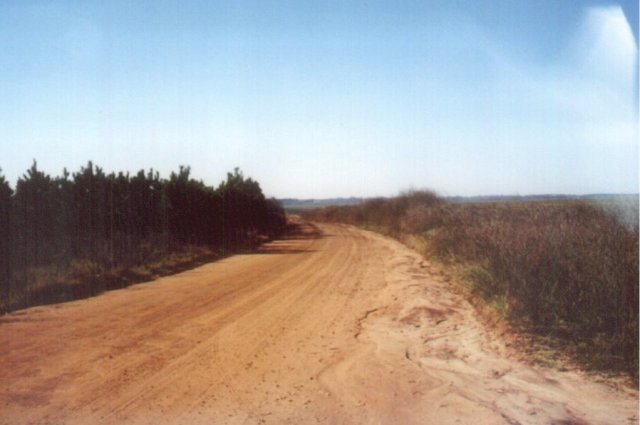 Muddy dirt road leading to the site.