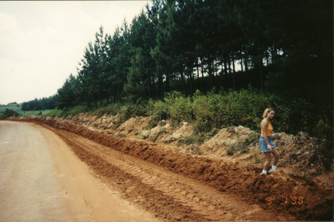 Miner's Road next to the confluence.