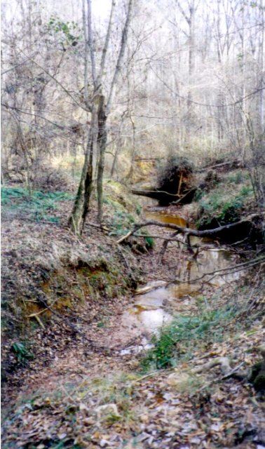 Streambed near the confluence