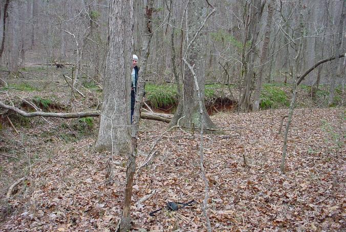 Looking down the creekbed