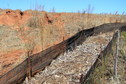 #7: View to the northeast from the confluence point.